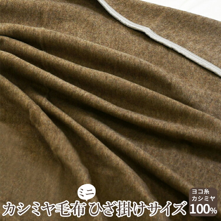 【ふるさと納税】カシミヤ毛布 ミニひざ掛けサイズ｜ブランケット [2164]