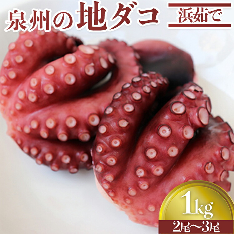 【ふるさと納税】泉州の地ダコ1kg(2尾～3尾)｜たこ ダコ 蛸 たこ焼き お好み焼き マリネ [0530]