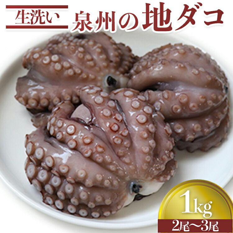 【ふるさと納税】生洗い泉州の地タコ1kg(2尾～3尾)｜生たこ 生ダコ 蛸 たこ焼き お好み焼き マリネ [0531]