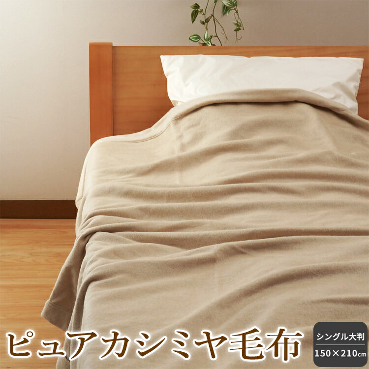 今だけ！プラスワンキャンペーン！！