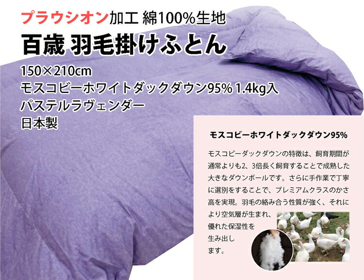 今だけ！プラスワンキャンペーン！！