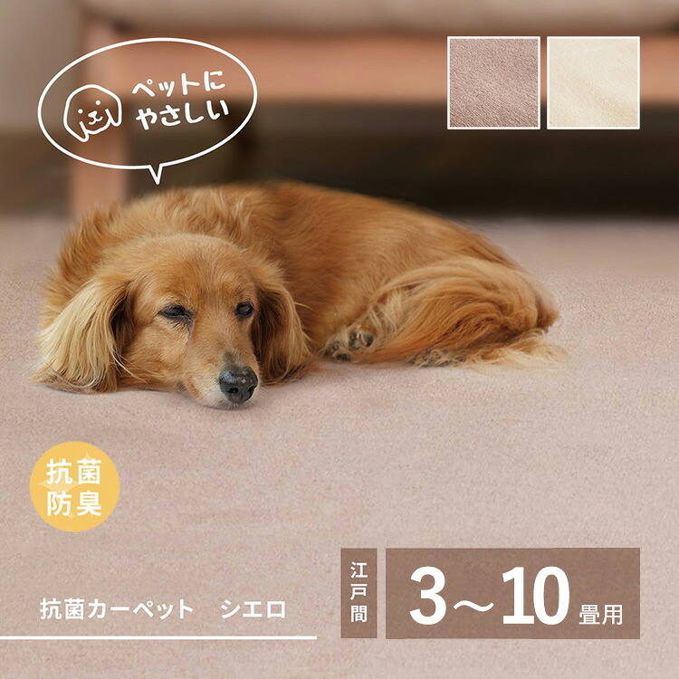 【ふるさと納税】＼選べるサイズ・カラー／ ペットにもやさしい 抗菌。防臭カーペット シエロ 1枚 600094 33,800円