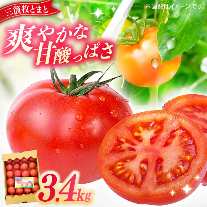 【ふるさと納税】三箇牧とまと（高槻産）約3.4kg（20～28玉入り）野菜 トマト 新鮮 三箇牧とまと 野菜不足 限定 大容量 大阪府高槻市/株式会社ミートモリタ屋[AOAI015]