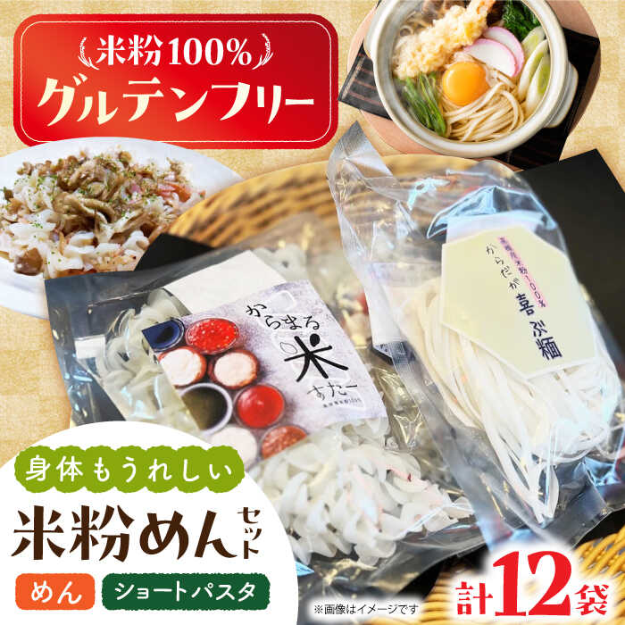 【ふるさと納税】高槻産 米粉 100％ 米粉めんセット 大阪府高槻市/株式会社高谷 米粉 麺 お米 グルテンフリー 小麦粉 [AOAW021]
