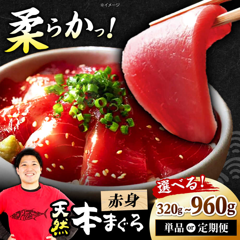 【ふるさと納税】【選べる容量・定期便】極上！たね熟天然本まぐろ赤身 まぐろ マグロ 鮪 赤身 刺し身 刺身 小分け 冷凍 海鮮 新鮮 魚介類 海鮮丼 贈答 ギフト プレゼント 人気 おすすめ 特産品 取り寄せ 高槻 大阪府高槻市/本まぐろ直売所[AOCE001]｜大阪府高槻市