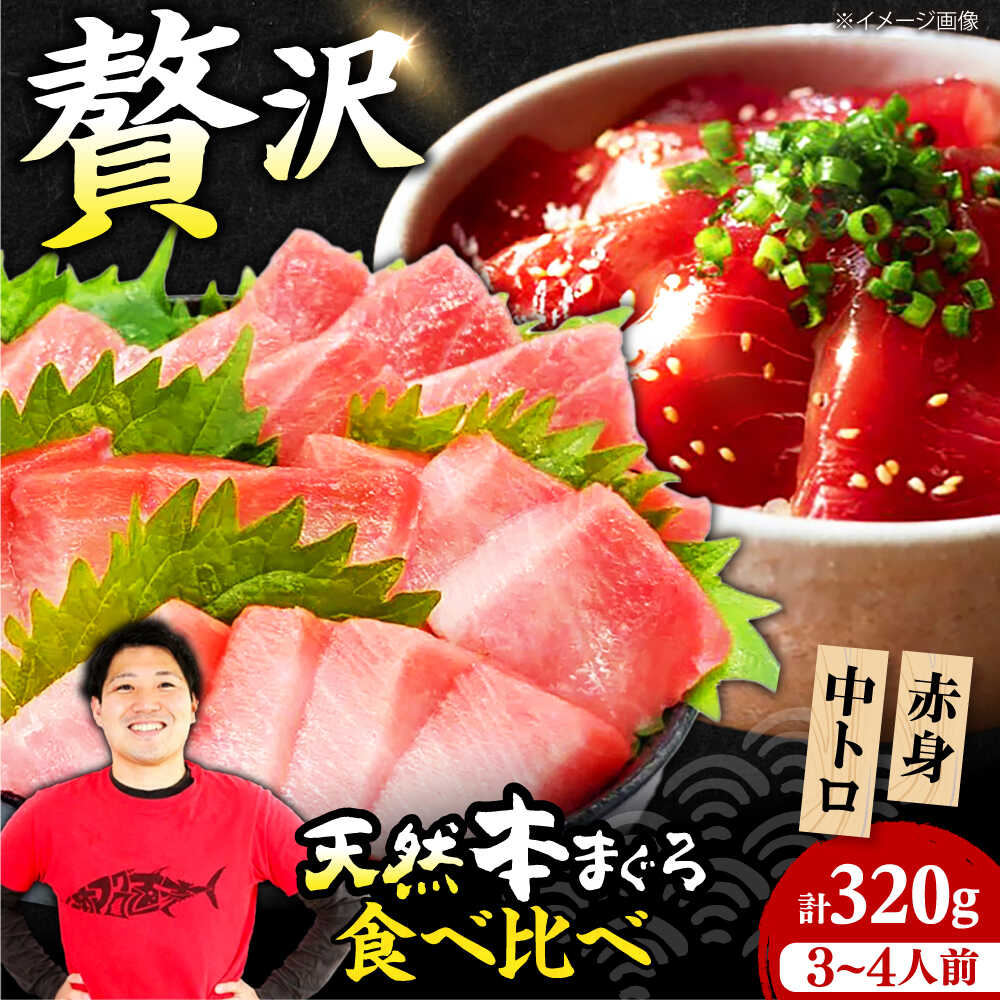 【ふるさと納税】極上！たね熟天然本まぐろ赤身＆中トロセット(320g 各160g) まぐろ マグロ 鮪 赤身 刺身 大阪府高槻市/本まぐろ直売所[AOCE002]