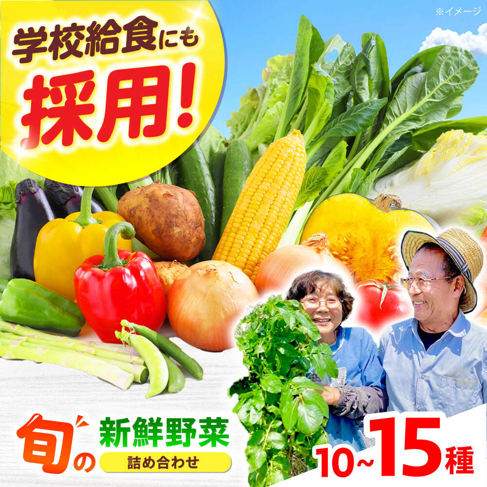 【ふるさと納税】【数量限定】☆選べるお届け月☆厳選！旬を味わう高槻野菜おまかせ詰め合わせセット（10種～15種） 野菜 やさい 新鮮 産地直送 旬 人気 お取り寄せ 野菜詰め合わせ 野菜セット 選べる 農作物 農家 ご当地 自家製 大阪府高槻市/高槻あぐり[AOCS006] 旬野菜