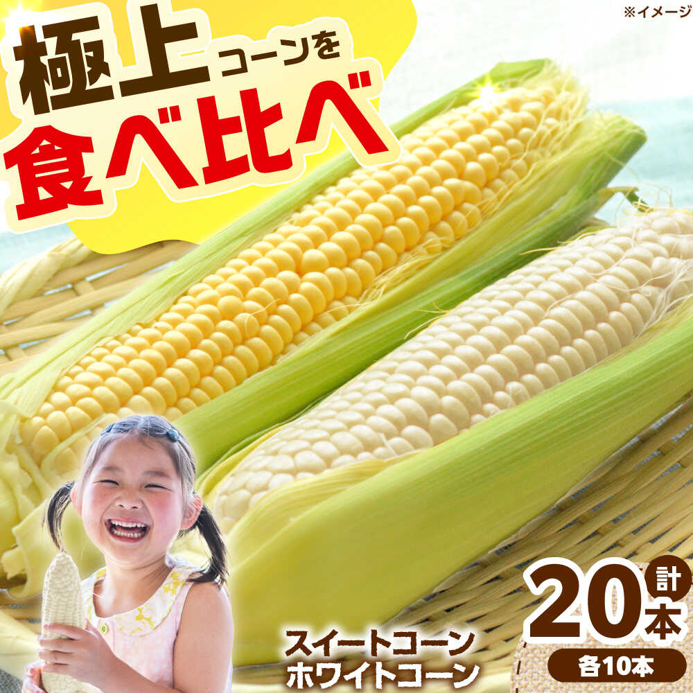 【ふるさと納税】【6月頃発送予定】朝採れとうもろこし スイートコーン ホワイトコーン 食べ比べセット 各10本 高槻市産 とうもろこし トウモロコシ コーン 甘い 野菜 新鮮 大阪府高槻市/高槻あぐり[AOCS030]