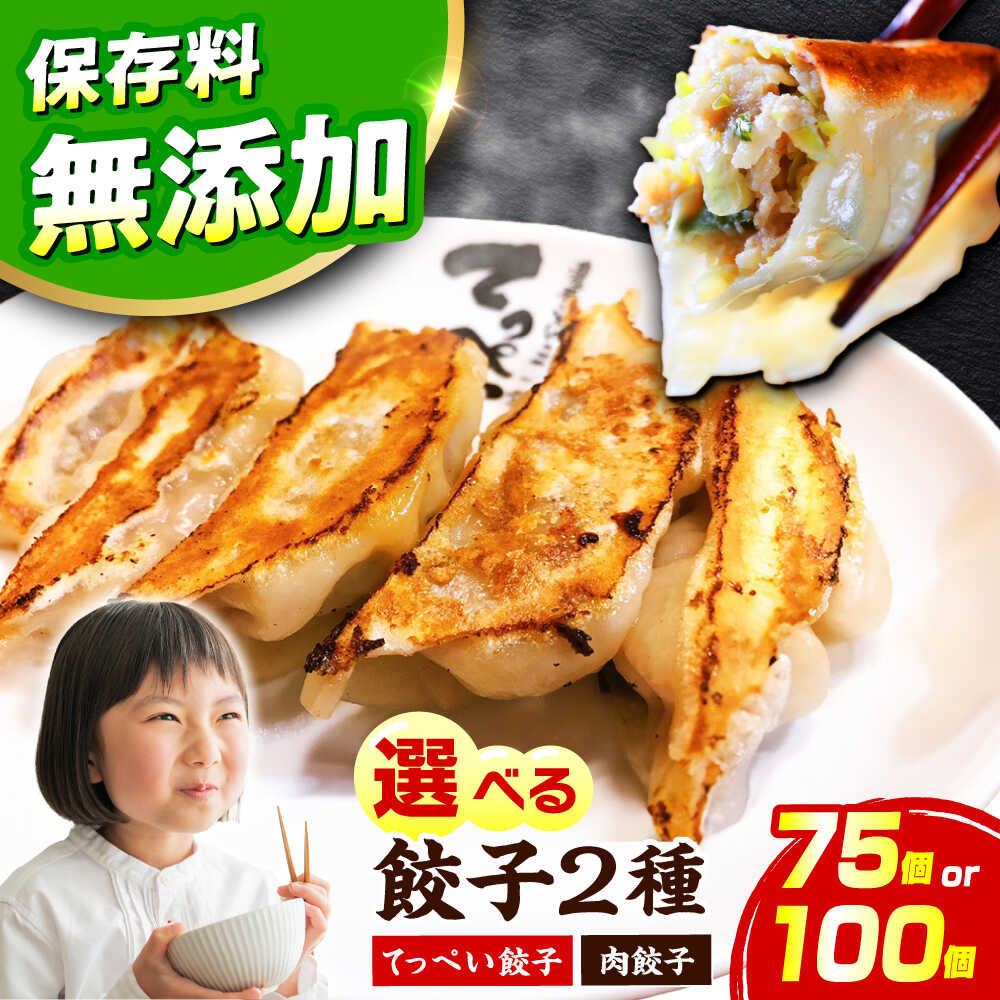 【ふるさと納税】【選べる種類・容量】人気ラーメン店の本気の「てっぺい餃子/肉餃子」75～100個入り(小分け包装)【保存料無添加】【メディアでも話題:石田てっぺいラーメン店】 国産豚肉 餃子 ぎょうざ 冷凍 惣菜 おかず おつまみ 大容量 大阪府高槻市/無人屋[AOCX007]