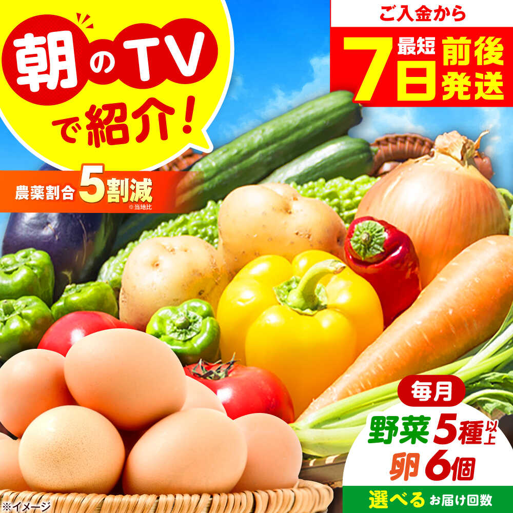 【ふるさと納税】【単品＆選べる定期便】朝のTV番組で紹介された！旬のお野菜＆平飼い卵セット 詰合せ 詰め合わせ 新鮮 おまかせ やさい 野菜セット 野菜 旬野菜 旬 人気 お取り寄せ たまご おすすめ メディア 話題 大阪府高槻市/ベジ彩ファーム[AOEJ004]