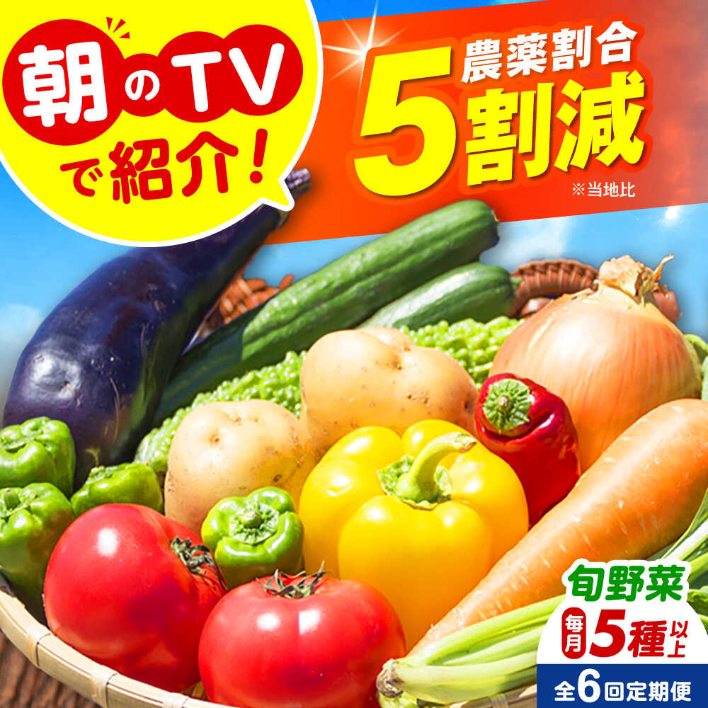 アルバローザ♡激レア！！フラガールスタンドミラー