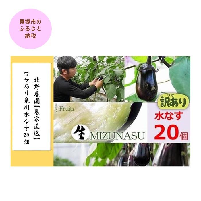 【ふるさと納税】ワケあり水なす２０個 | 訳あり 家庭用 不揃い 規格外 生なす 予約品 泉州水なす 水なす 泉州水ナス 水ナス 那子｜大阪府貝塚市 14,200円