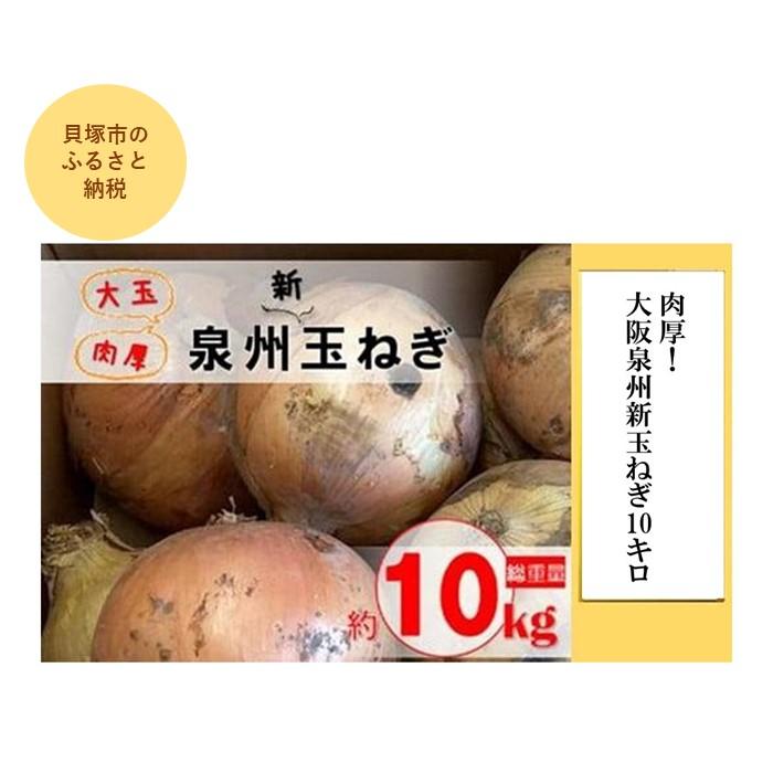 【ふるさと納税】肉厚！大阪泉州新玉ねぎ10kg