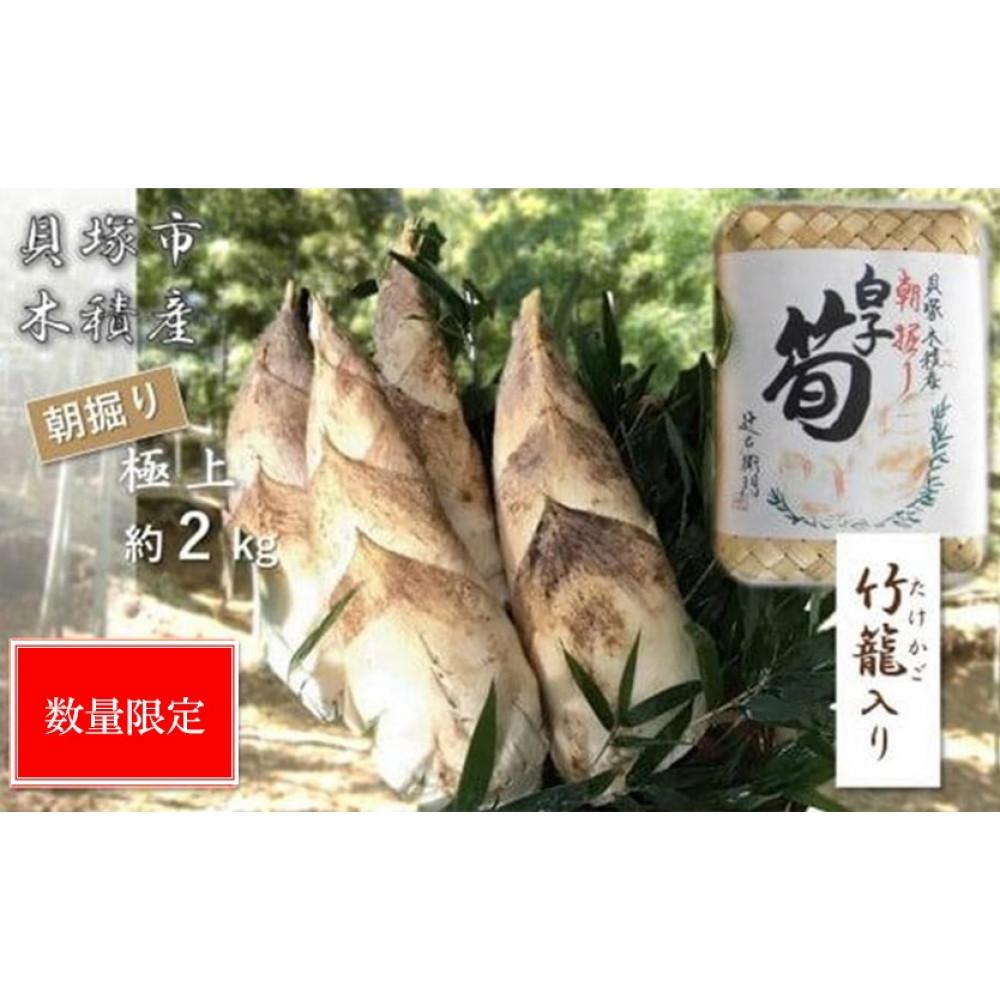 楽天市場】【ふるさと納税】＜先行予約受付中！2025年12月下旬
