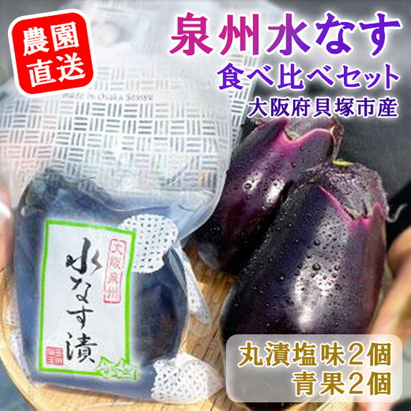 【ふるさと納税】水なす丸漬塩味２個＋生水なす２個