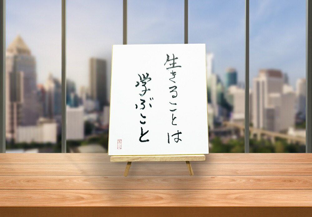 御勤めくぐり抜けるテーマパーク『カンドゥー』のくぐり抜ける乗車券が御出座し！