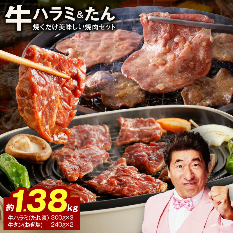【ふるさと納税】大人気 ファミリー向け 焼肉セット 牛たん 牛ハラミ肉 総量1.38kg 大阪府 泉佐野市 送料無料 肉の泉佐野