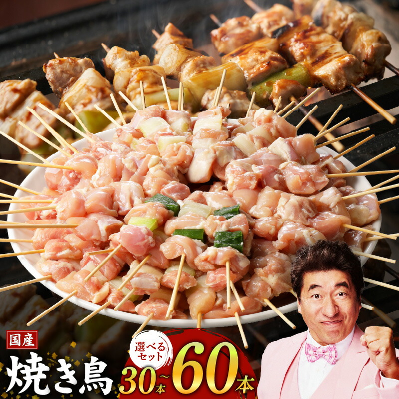 【ふるさと納税】＼すぐ届く／ 焼鳥 バーベキュー BBQ キャンプ アウトドア 惣菜 小分け 鶏肉 お肉 国産 簡単 調理 おつまみ 酒の肴 焼鳥丼 食品 食べ物 お取り寄せ お取り寄せグルメ 関西 大阪府 泉佐野市 冷凍 送料無料 肉の泉佐野
