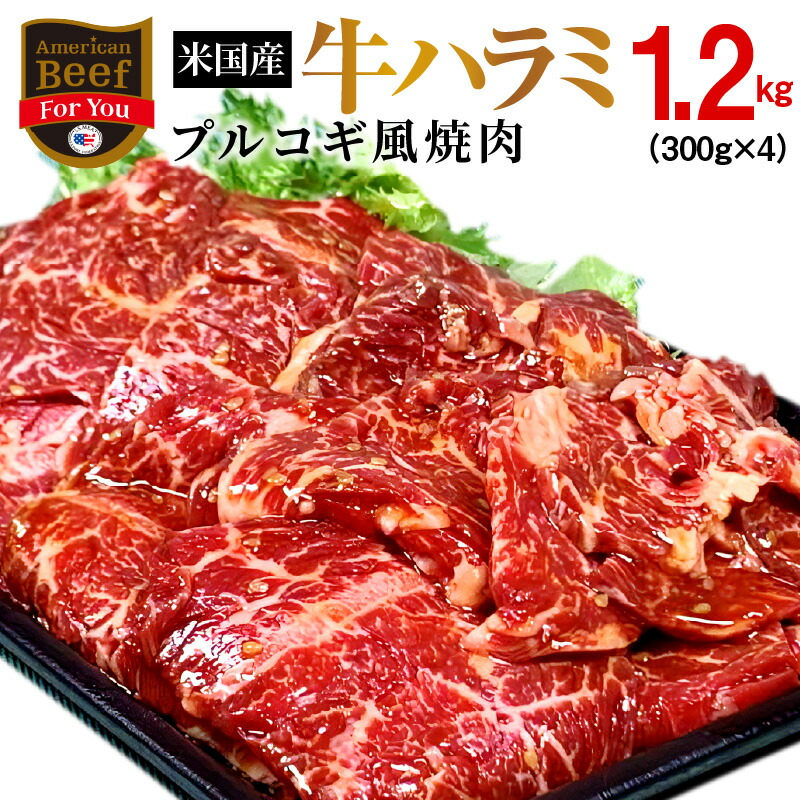 楽天市場】【ふるさと納税】秘伝の赤タレ漬け牛ハラミ肉 1.2ｋｇ 肉の泉佐野 : 大阪府泉佐野市