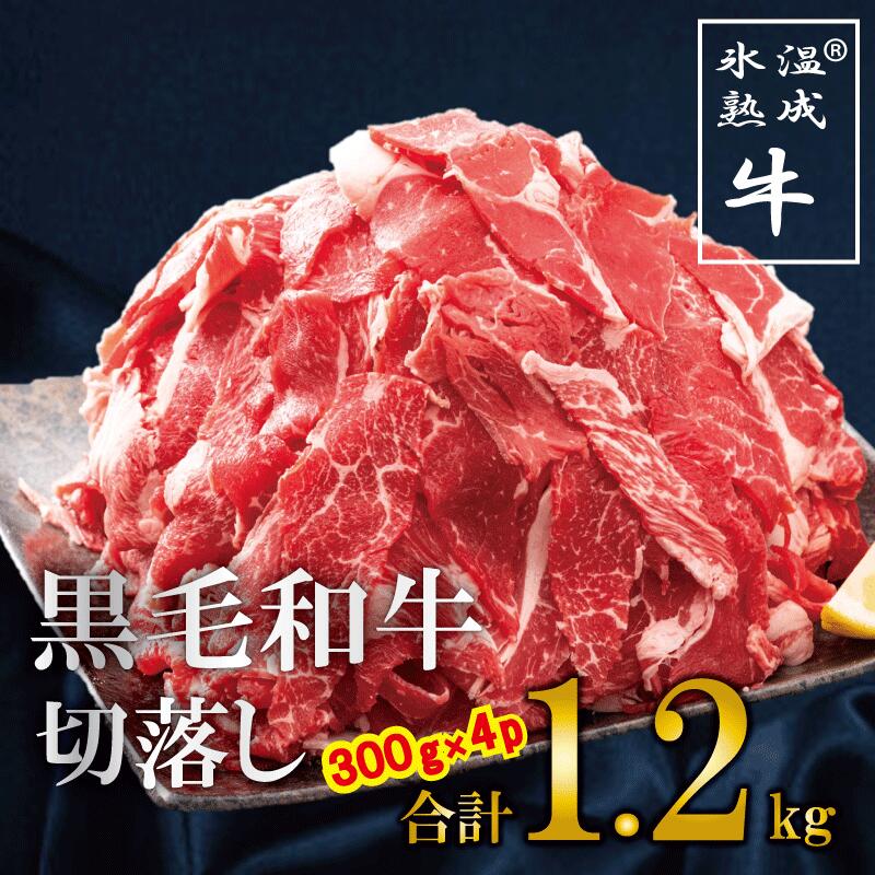 楽天市場】【ふるさと納税】定期便 牛肉 6ヶ月 計 4kg 以上 氷温 (R) 熟成牛 国産牛 ステーキ しゃぶしゃぶ 切り落とし ランプ ロース  赤身 スライス 焼肉 食品 お取り寄せ お取り寄せグルメ 送料無料 泉佐野市 肉の泉佐野 : 大阪府泉佐野市