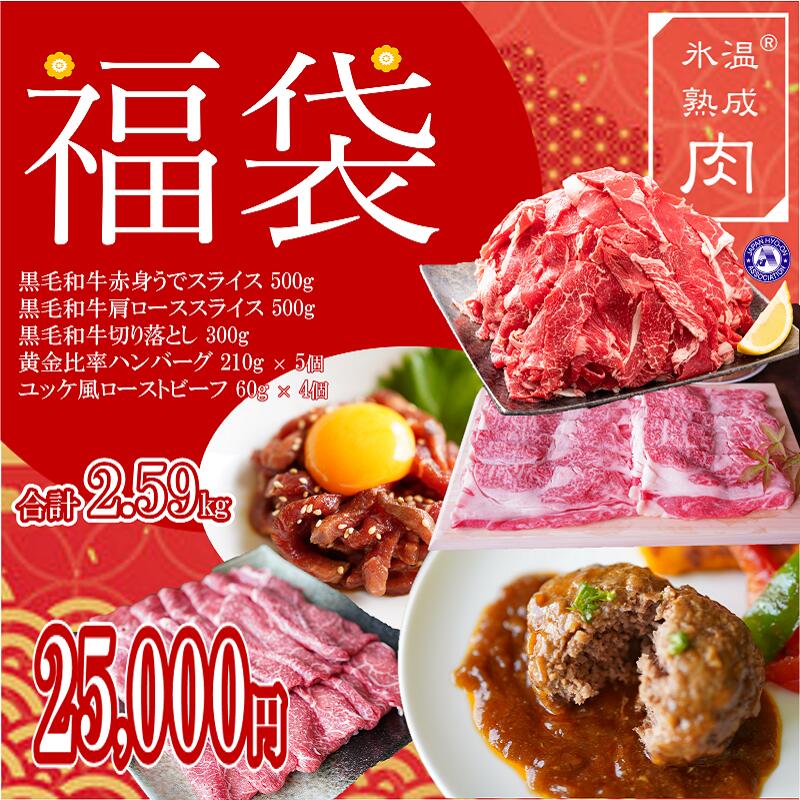 3000円 セール価格 ふるさと納税 BS6119_湯浅熟成肉 国産豚セット 切落し