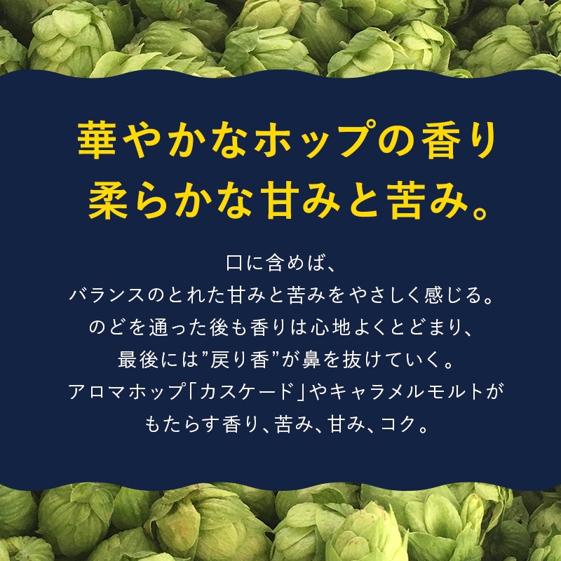 【ふるさと納税】クラフトビールよなよなエール48本期間限定【完成後順次配送】(クラウドファンディング対象)
