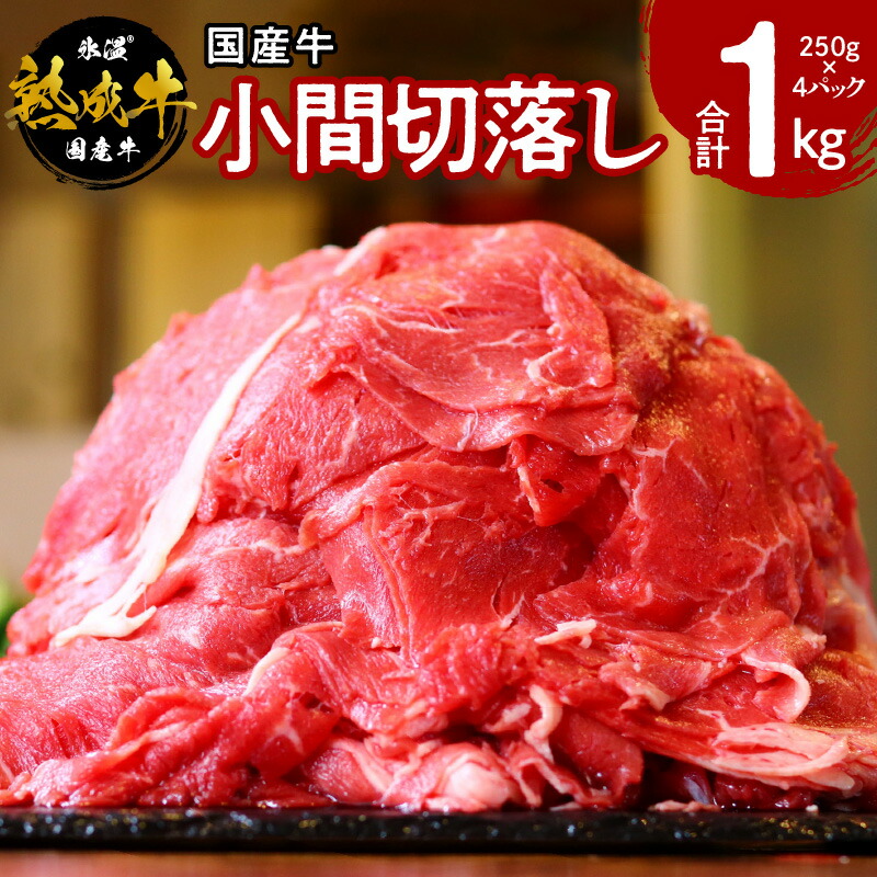 楽天市場】【ふるさと納税】国産牛肉100％ ハンバーグ お試し600g（150g×4）無添加 無着色 手作り : 大阪府泉佐野市