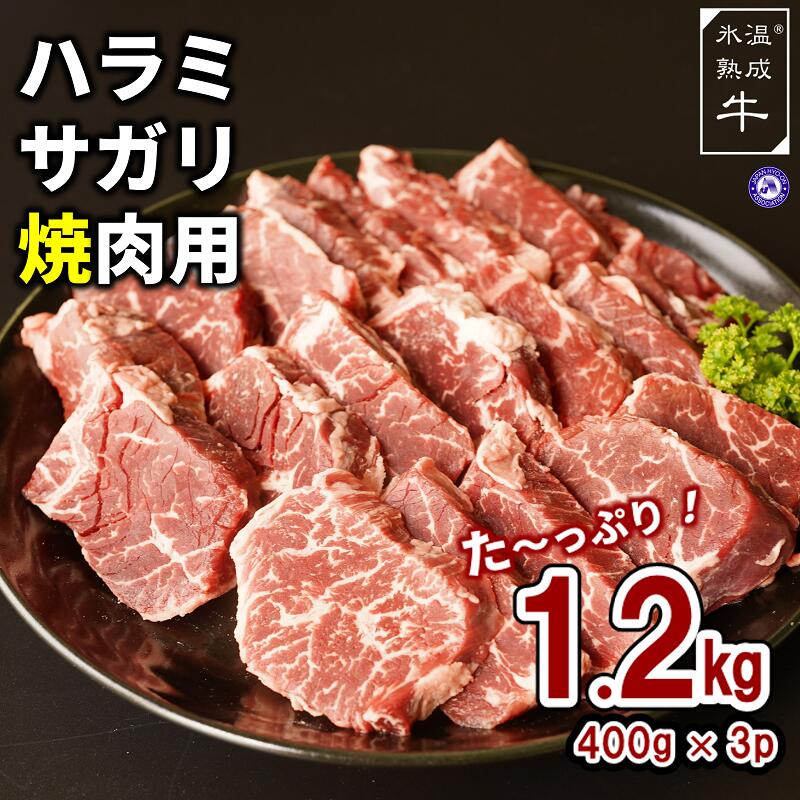 楽天市場】【ふるさと納税】秘伝の赤タレ漬け牛ハラミ肉 1.2ｋｇ 肉の泉佐野 : 大阪府泉佐野市