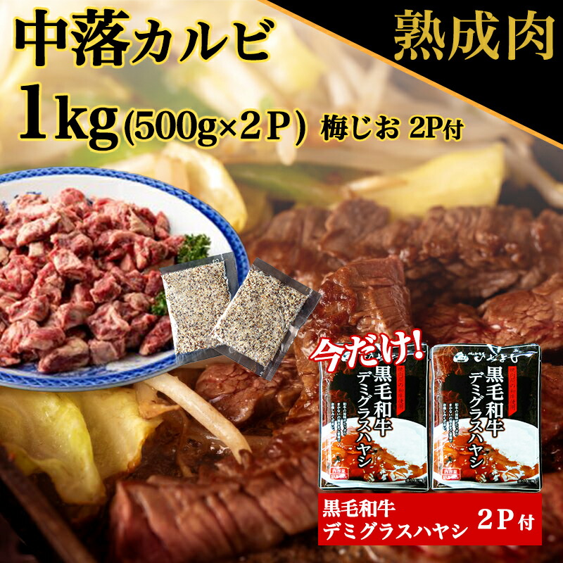 正規 ふるさと納税 010B898 牛丼の具 大容量1.5kg 150g×10パック 湯煎 簡単調理 緊急支援 大阪府泉佐野市  materialworldblog.com