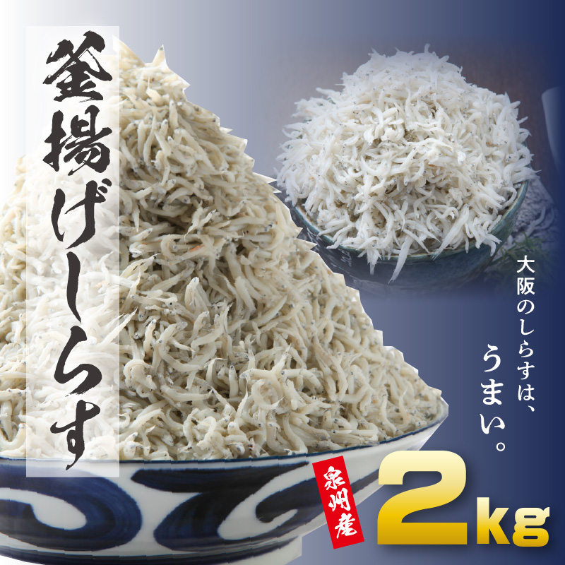 完璧 ふるさと納税 定期便 しらす干し 1kg×12か月 天然 ふっくら 大洗