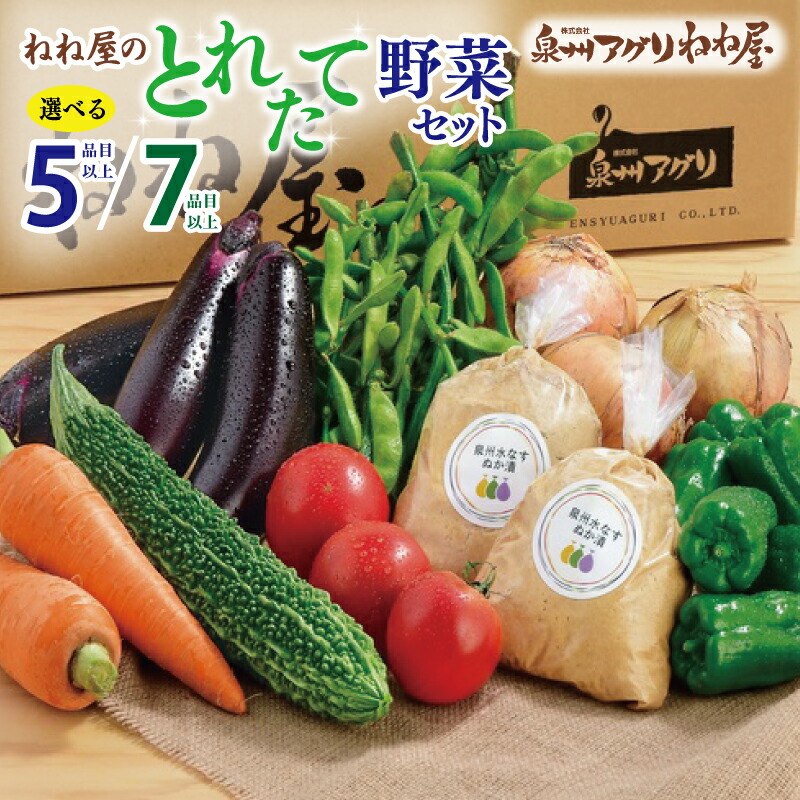 【ふるさと納税】ねね屋のとれたて野菜セット 詰め合わせ 選べる 5品目以上 / 7品目以上 泉佐野産 採れたて 新鮮 旬 泉州野菜 野菜 セット おまかせ 加工品 食品 食べ物 クール便 冷蔵 国産 お取り寄せ 大阪府 泉佐野市 送料無料