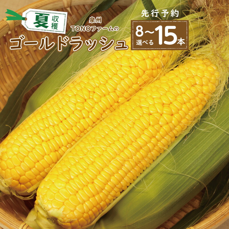 【ふるさと納税】【先行予約】 ＼内容量が選べる／ ゴールドラッシュ 8本 / 15本 セット 朝採れ 新鮮 泉佐野市産 とうもろこし 数量限定 夏収穫 甘みが強い 粒皮がやわらかい 泉州TONOファーム 国産 お取り寄せ お取り寄せグルメ 泉佐野市 送料無料