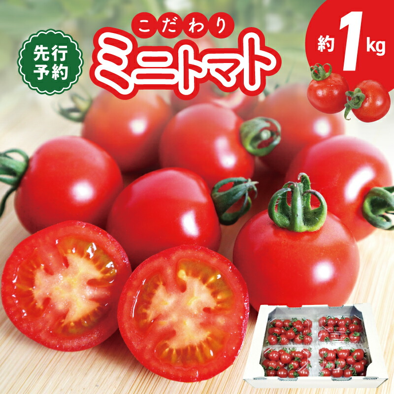 【ふるさと納税】こだわり ミニトマト 4パック 合計 約 1kg 新鮮 食べごろ 好評 まるでフルーツ 甘い 厳選 期間限定 数量限定 先行予約 野菜 トマト サラダ 食べ物 食品 お取り寄せ 冷蔵 カピバラファーム 泉佐野産 国産 大阪府 泉佐野市 送料無料