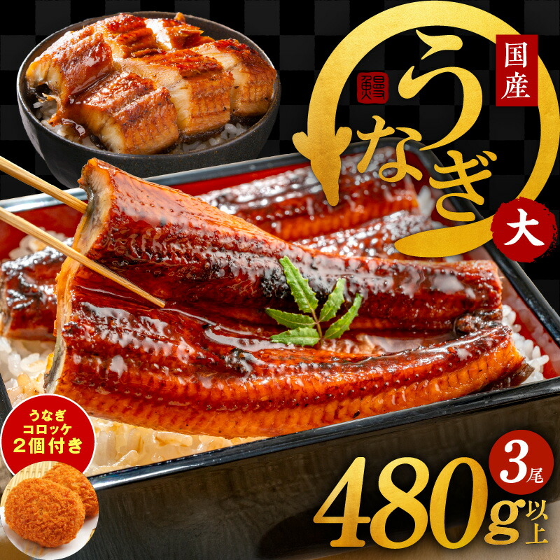 【ふるさと納税】先行予約 国産うなぎ 3尾 480g 以上 1尾160g以上 大サイズ うなぎコロッケ 2個付き 国産 泉佐野産 養殖 うなぎ 蒲焼 土用の丑の日 うな丼 うな重 ひつまぶし 大黒水産 えびす鰻 unagi 大阪府 泉佐野市 惣菜 お取り寄せ お取り寄せグルメ 送料無料