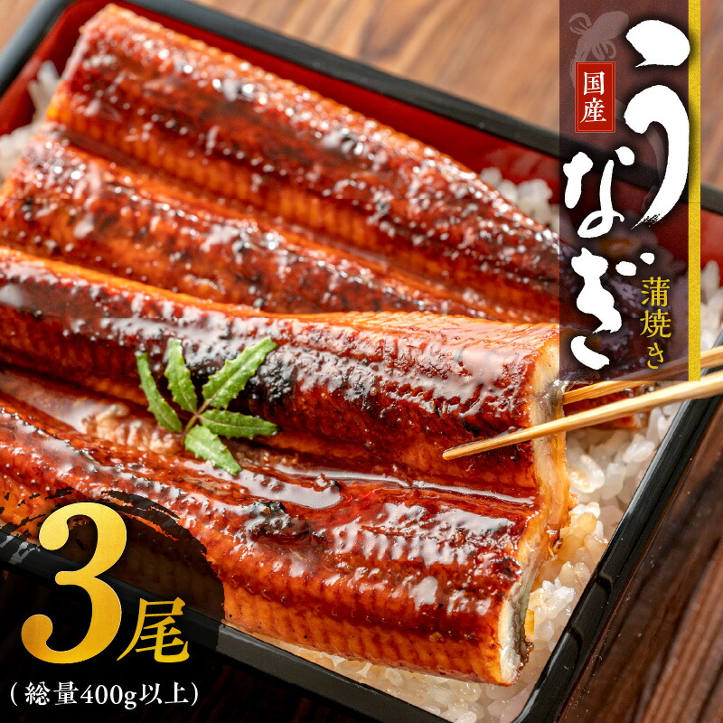 【ふるさと納税】国産 うなぎ 蒲焼き 3尾 総重量 400g 以上 厳選 職人 特製 タレ付き 真空パック じっくり焼き上げ 香ばしい フワフワ 魚介類 魚 うな重 うな丼 ひつまぶし 惣菜 おかず 冷凍 お取り寄せ お取り寄せグルメ 冷凍 大阪府 泉佐野市 送料無料