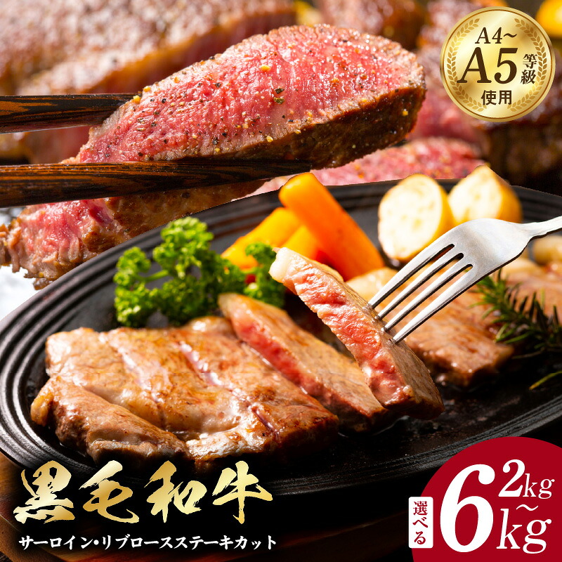 【ふるさと納税】A5/A4等級 黒毛和牛 サーロイン / リブロース ステーキカット 極味付け肉 国産 1パック 250g 選べる 2kg 8P / 4kg 16P / 6kg 24P 牛肉 サーロインステーキ リブロースステーキ ステーキ 冷凍 すぐ届く 大阪府 泉佐野市 送料無料 肉の泉佐野