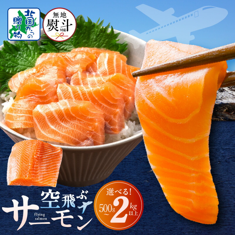【ふるさと納税】★高評価4.61 1位獲得 アトランティックサーモン 500g / 1kg / 2kg 以上 無地熨斗 対応 サーモン 鮭 フィレ 刺身 小分け 骨取り 海鮮丼 カルパッチョ 寿司 サラダ ソテー ノルウェー 冷凍 急速冷凍 魚 魚介類 海鮮 お取り寄せ 泉佐野市 送料無料