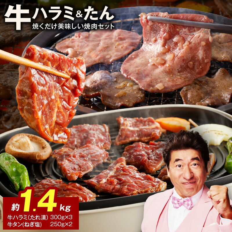 【ふるさと納税】【発送月が選べる】 焼肉セット 総量 1.4kg 大人気 ファミリー向け 薄切り スライス ねぎ塩 牛タン やわらか ジューシー 牛ハラミ肉 たれ漬 焼肉 BBQ 肉 牛肉 冷凍 焼くだけ 簡単 食品 お取り寄せ 大阪府 泉佐野市 送料無料 肉の泉佐野|大阪府泉佐野市