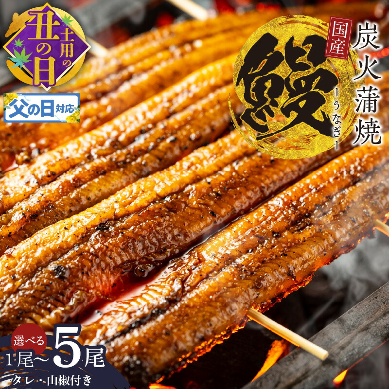 【ふるさと納税】【土用の丑の日】 国産 うなぎ 150g×2尾 / 150g×5尾 / 180g×1尾 タレ 山椒 付き 蒲焼き 有頭 数量限定 うなぎ専門店 大門 自慢の逸品 炭火 真空パック うな重 うな丼 ひつまぶし うざく 惣菜 おかず 魚介類 魚 冷凍 大阪府 泉佐野市 送料無料 先行予約