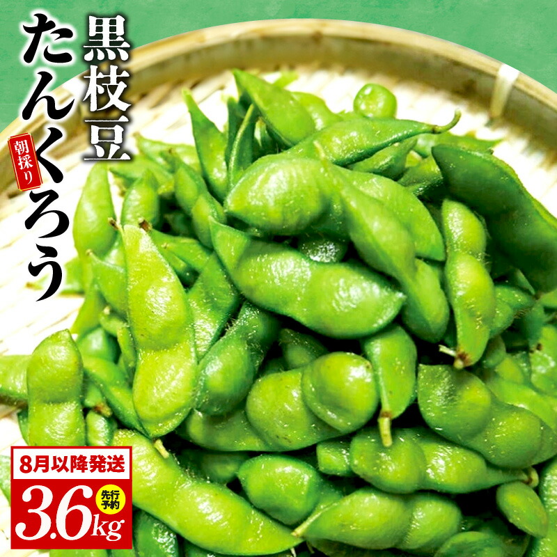 【ふるさと納税】【先行予約】畑から直送・朝採り黒枝豆 3.6kg