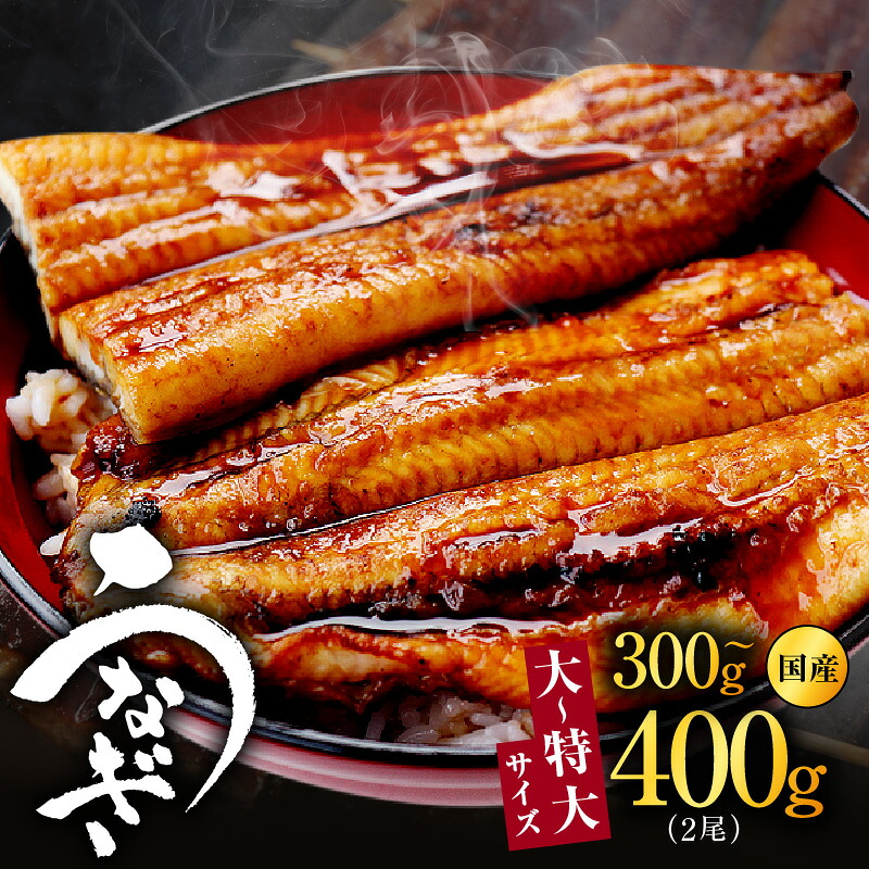 【ふるさと納税】うなぎ うなぎ蒲焼 2尾 合計 300g以上 / 400g以上 タレ付き 秘伝のタレ 国産 炭火焼き 手焼き 備長炭 香ばしい香り 表面はパリッ 中はふんわり ふっくら 冷凍 お取り寄せ お取り寄せグルメ 大阪府 泉佐野市 送料無料
