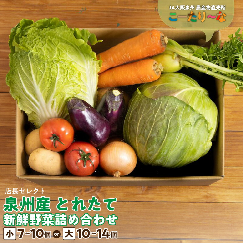 【ふるさと納税】直売所 店長セレクト 季節の野菜セット 小 7個 ～ 10個 8kg以内 / 大10個 ～ 14個 15kg以内 JA大阪泉州 農産物直売所 こーたり～な とれたて 新鮮 野菜 詰め合わせ セット 野菜セット 泉佐野市産 泉州産 国産 お取り寄せ 大阪府 泉佐野市 送料無料