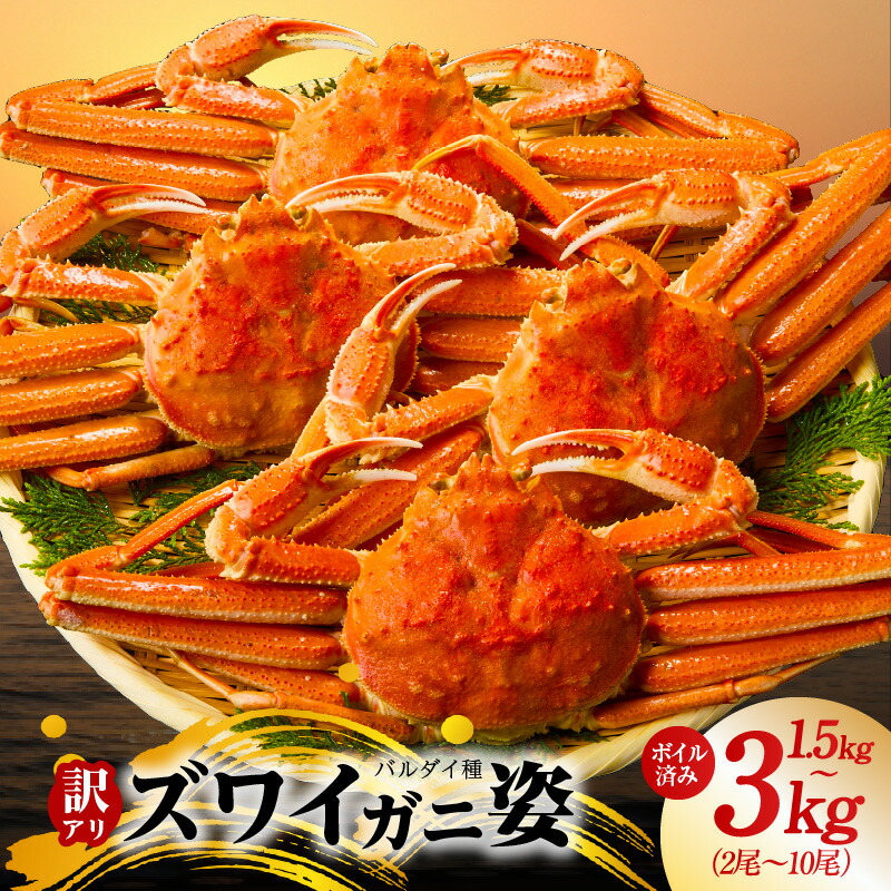 【ふるさと納税】 訳あり バルダイ種 ズワイガニ姿 1.5kg / 3kg ボイル済 オオズワイガニ カニ ズワイガニ ファミリー向け 昆布熟成 冷凍 本格海鮮 濃厚 カニみそ ごちそう おつまみ かに鍋 カニ雑炊 甲羅焼き お取り寄せ グルメ 大阪府 泉佐野市 送料無料