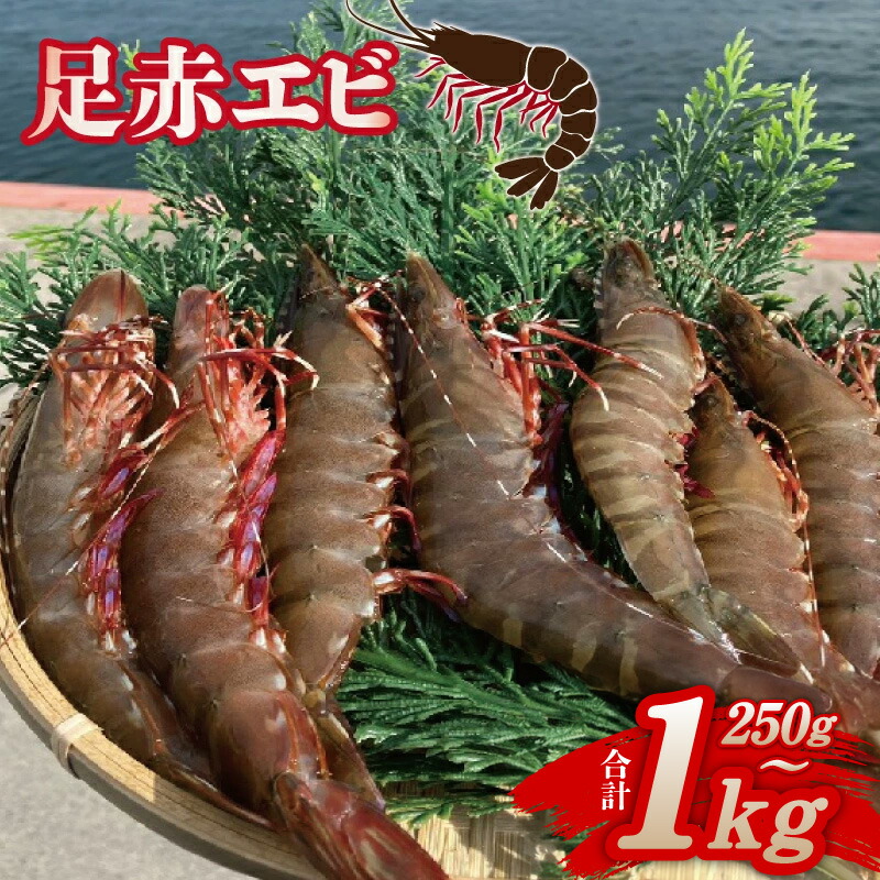 【ふるさと納税】足赤エビ 250g / 500g / 1kg 冷凍 真空パック 国産 えび 天然 ぷりぷり 海鮮 水揚げ 生食可 生食 新鮮 高級種 地場産 大阪府産 急速冷凍 甘み 刺身 天ぷら 塩焼き アヒージョ エビフライ 水産加工品 食品 お取り寄せグルメ 大阪府 泉佐野市 送料無料｜大阪府泉佐野市