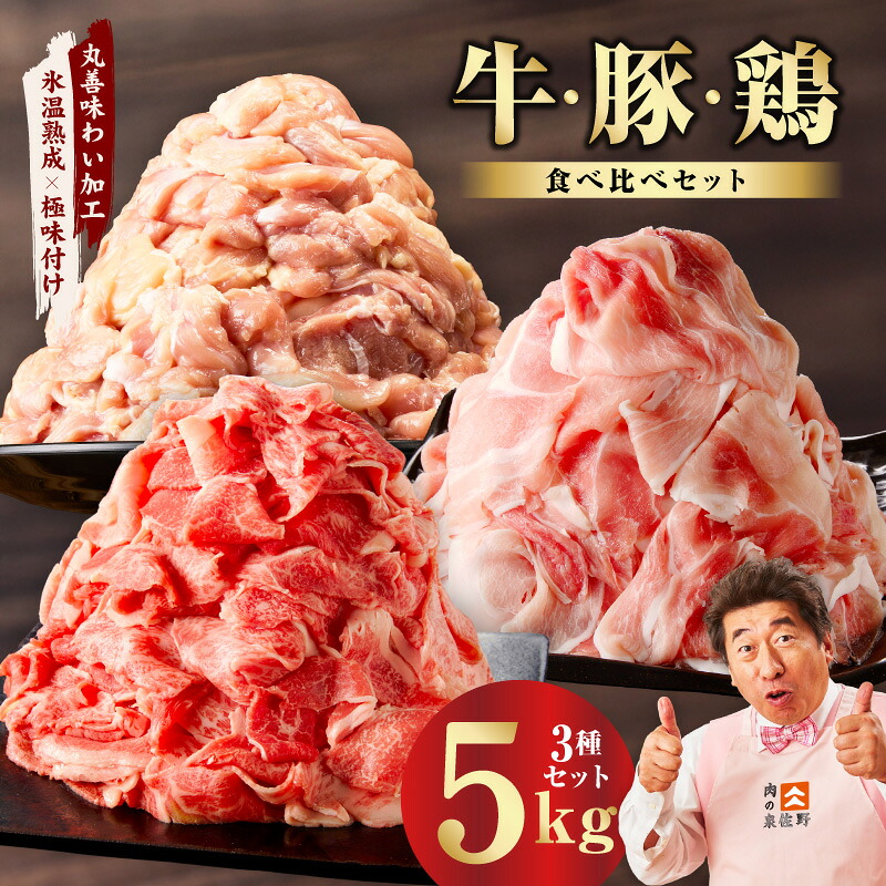 【ふるさと納税】【発送月が選べる】 国産 牛肉 豚肉 鶏肉 セット 合計 5kg 氷温熟成×極味付け 3種 食べ比べ 肉 普段使い 味付き 小分け カレー サイズ不揃い大阪府 泉佐野市 送料無料 熟成肉 氷温熟成 作り方 ふるさと納税オリジナル 限定 肉の泉佐野