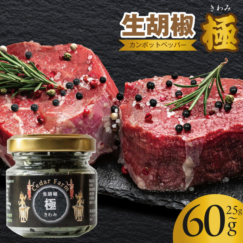 【ふるさと納税】生胡椒 塩漬け カンポットペッパー 25g × 1本 / 2本 / 60g ×1本 カンボジア 高級胡椒 ペッパー スパイス 調味料 プチプチ 食感 ミル不要 そのまま使える 便利 ステーキ 料理の仕上げ 前菜 お供 晩酌 お取り寄せ 大阪府 泉佐野市 送料無料