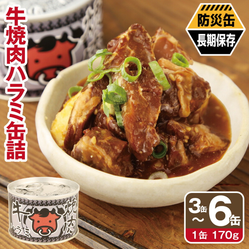 【ふるさと納税】牛 焼肉 ハラミ 缶詰 選べる 3缶 / 6缶 セット 肉 牛肉 厚切り 牛ハラミ サガリ ご飯のお供 弁当 おかず 酒 晩酌 BBQ キャンプ アウトドア 防災 備蓄 非常食 保存食 常備 防災缶 長期保存 スタミナ もやし炒め 大阪府 泉佐野市 送料無料