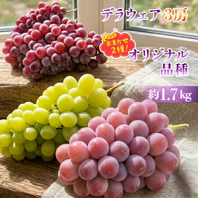 【ふるさと納税】【2026年7月中旬～順次発送】ぶどう詰め合わせ 約1.7kg　デラウエア3房＋ここにしかないオリジナル品種おまかせ2種　希少品種 食べ比べ フルーツ 果物 くだもの 葡萄 中村オリジナルぶどう園 デラウエア ぶどう ブドウ めずらしい 大阪 河内長野 甘い｜大阪府河内長野市