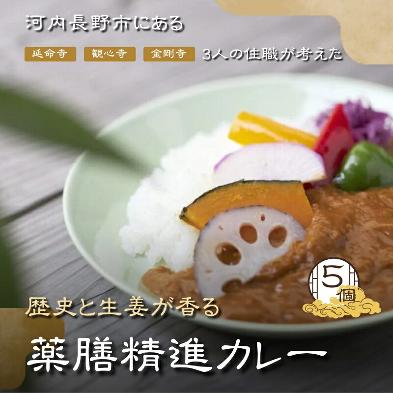 【ふるさと納税】歴史と生姜が香る 薬膳精進カレー ５個 観心寺 金剛寺 延命寺 住職発案 人気レストラン 創作精進料理KU-RI 監修 肉 魚 五辛 不使用 健康 簡単調理 レトルトパック こだわりの逸品 地域特産品 ギフト 自分用 人気 おすすめ