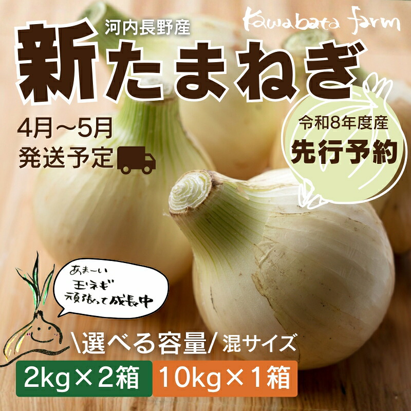 【ふるさと納税】新玉ねぎ ＜ 選べる容量 ＞ ※4-5月発送予定 ｜ 混サイズ 玉ねぎ 新玉ねぎ たまねぎ タマネギ 玉葱 カレー シチュー 肉じゃが スープ サラダ 人気 大阪 河内長野 kawabata farm 料理 先行予約 国産 エコ農産物 甘い玉ねぎ 野菜 食育